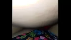 Jouer Gattino bagnato sul mio bordo 8 in gumshoe
