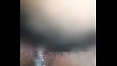 تشغيل تغذية القطط كيتي مبللة