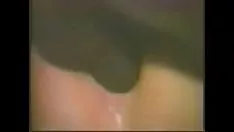 تشغيل 51 معيار gumshoe blackcock بأثر رجعي