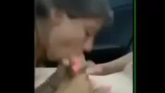 Jouer Cogida en el carro