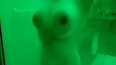 Reproduzir Esposa puta se ducha antes de ir a folar con su amigo