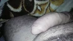 Oynat pula maria