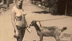Jouer Il divertimento delle lanterne notturne presenta "prognosticare con esseri animati" dalla mia vita enigma, gli strilli sexy di un gentiluomo vittoriano