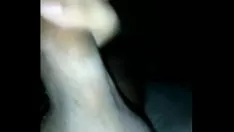 Jouer Paja Loca