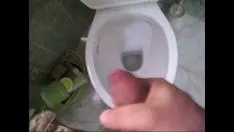 Abspielen Paja en el service