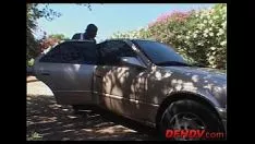 Reproducir Blanquear adolescente conseguir sexo blackcock 027